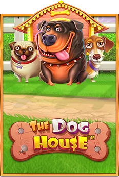 Bonus Features in The Dog House